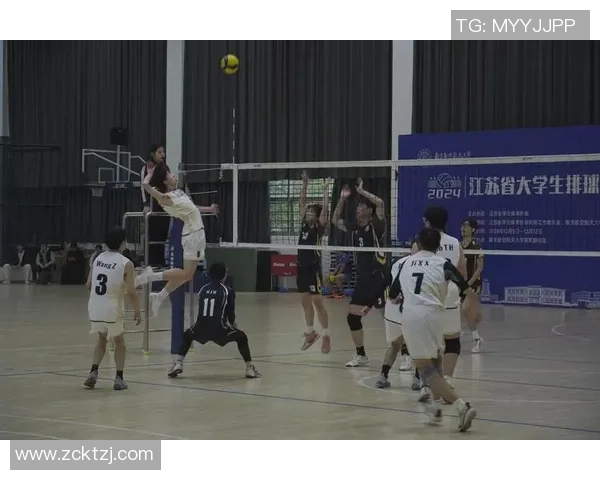 广州排球队团队协作变革引发热议展现新风貌与竞技精神